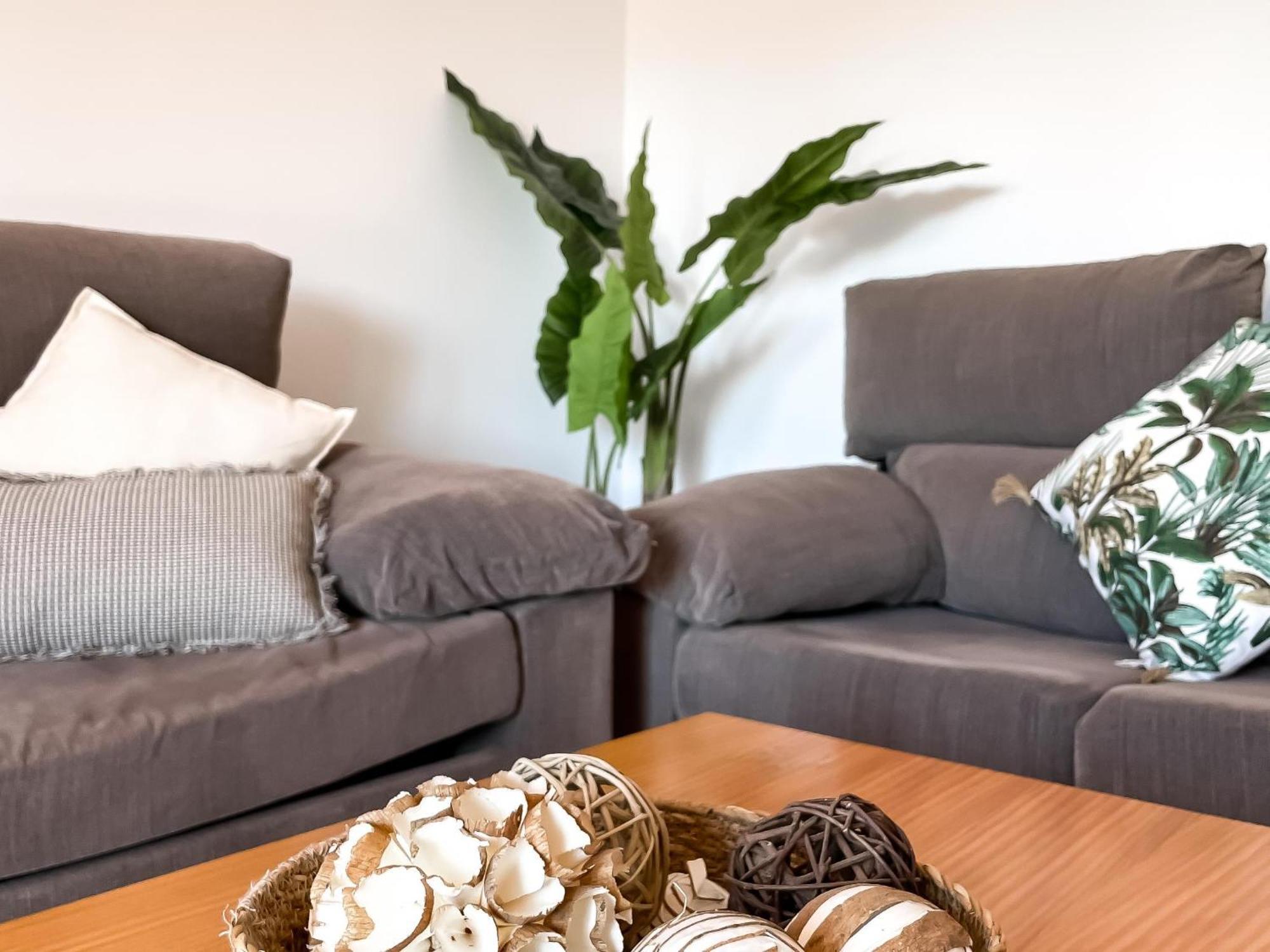 Colibri House By Best Holidays Fuerteventura 科拉雷侯 外观 照片
